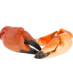 cangrejo moro 800x652