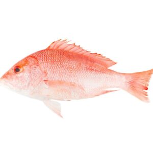 Pescados enteros