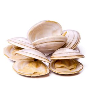 almeja blanca, 1 kg