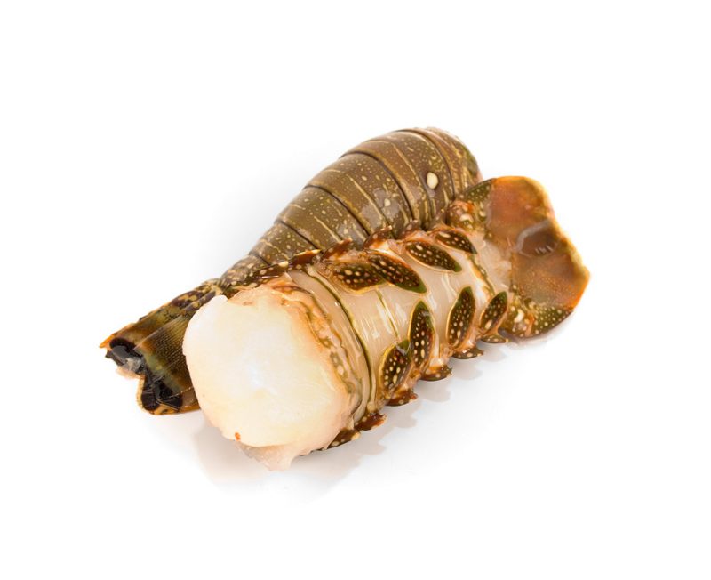camarón pacotilla chino 51/60, 1 kg. (copia) camarón pacotilla chino 51/60, 1 kg. (copia)