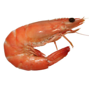 camarón granja sin cabeza 51/60, 1 kilo (copia)