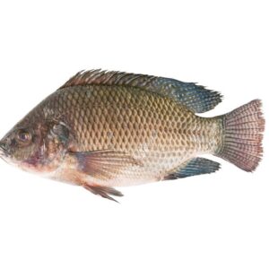 lomo de trucha ahumada salmonada pre fileteado, 260 grs (copia)