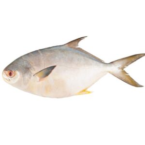 salmón entero. precio por kg. (copia)