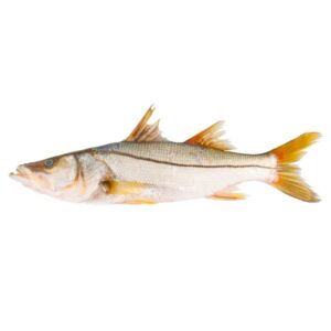 robalo entero. precio por kg.