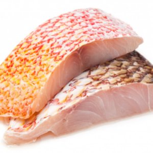 Filetes y cortes de pescado