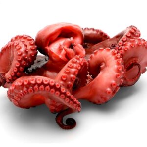 pulpo crudo (copia)